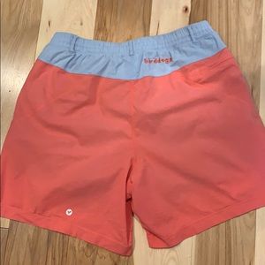 Large classics birddog shorts